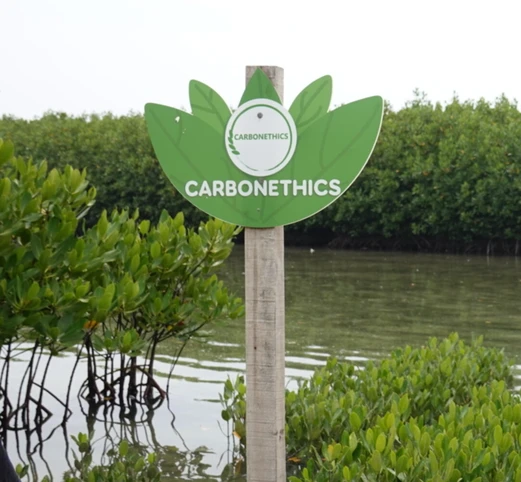 CarbonEthics