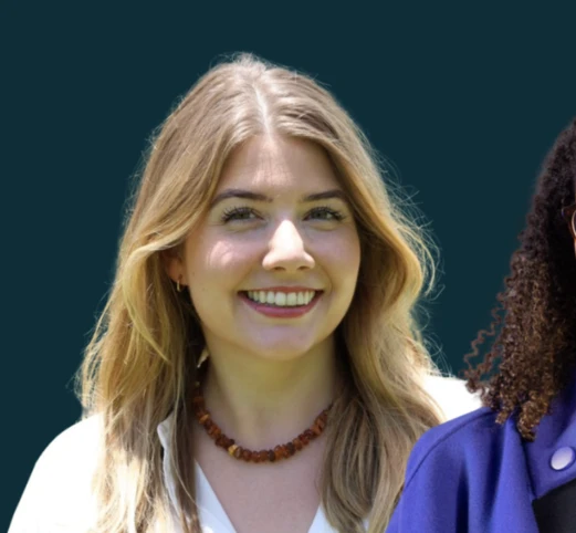 Interaction counsil plenary ambassadors